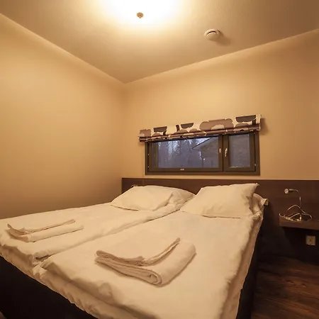 Hotelli Suomutunturi 4*