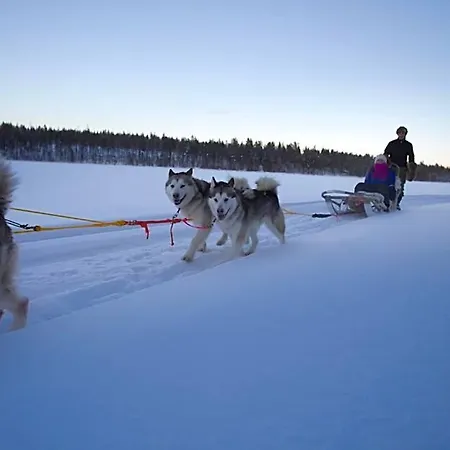 Отель Hotelli Suomutunturi