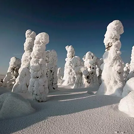 Hotel Hotelli Suomutunturi 4*