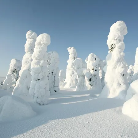 ホテル Hotelli Suomutunturi 4*