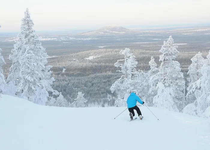 מלון Hotelli Suomutunturi