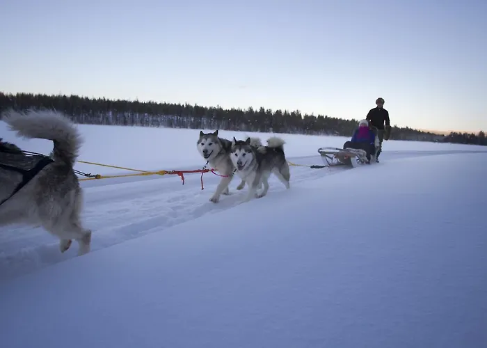 מלון Hotelli Suomutunturi 4*