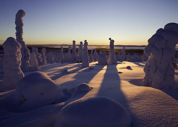 מלון Hotelli Suomutunturi