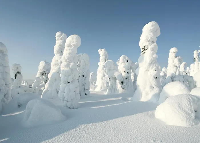 מלון Hotelli Suomutunturi 4*